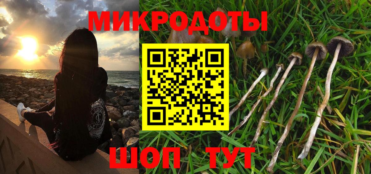 Галлюциногенные грибы Psilocybine cubensis Красноуфимск