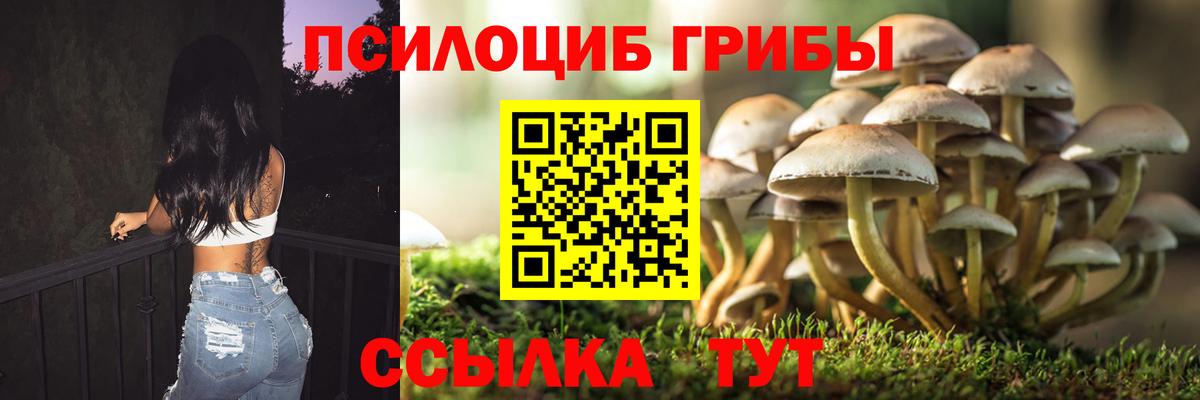Галлюциногенные грибы Cubensis  Вход с VPN  Красноуфимск  Псилоцибиновые грибы мицелий 